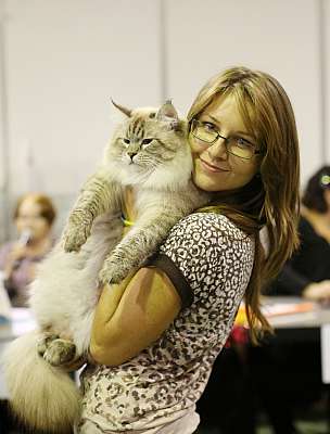 �������� ����� '���-�����-��������' 20-21 �������� 2014 3-95-169A1758 copy.jpg